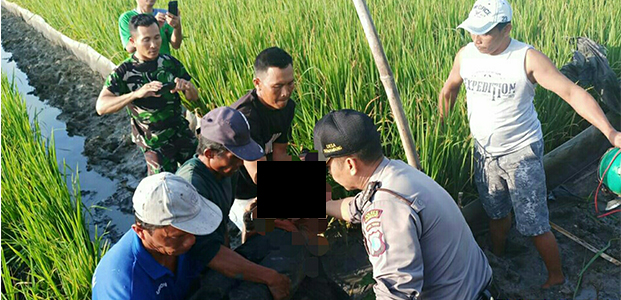 Pencari Ikan asal Kanor Bojonegoro Tewas Tersengat Listrik Jebakan Tikus di Sawah Pencari Ikan asal Kanor Bojonegoro Tewas Tersengat Listrik Jebakan Tikus di Sawah
