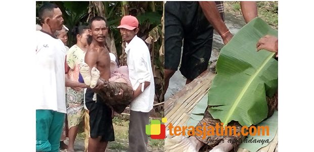 Dikabarkan Digondol Wewe Gombel, Wanita asal Brangkal Bojonegoro Ditemukan Jadi Mayat Dikabarkan Digondol Wewe Gombel, Wanita asal Brangkal Bojonegoro Ditemukan Jadi Mayat