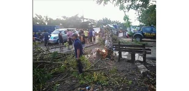 Hujan Deras dan Angin Kencang di Bojonegoro, Tumbangkan Pohon dan Tiang Listrik Hujan Deras dan Angin Kencang di Bojonegoro, Tumbangkan Pohon dan Tiang Listrik