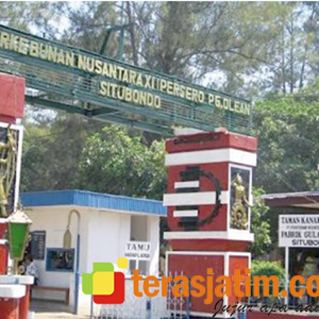 Serikat Pekerja BUN PTPN XI Tolak Rencana Penggabungan Pabrik Gula di