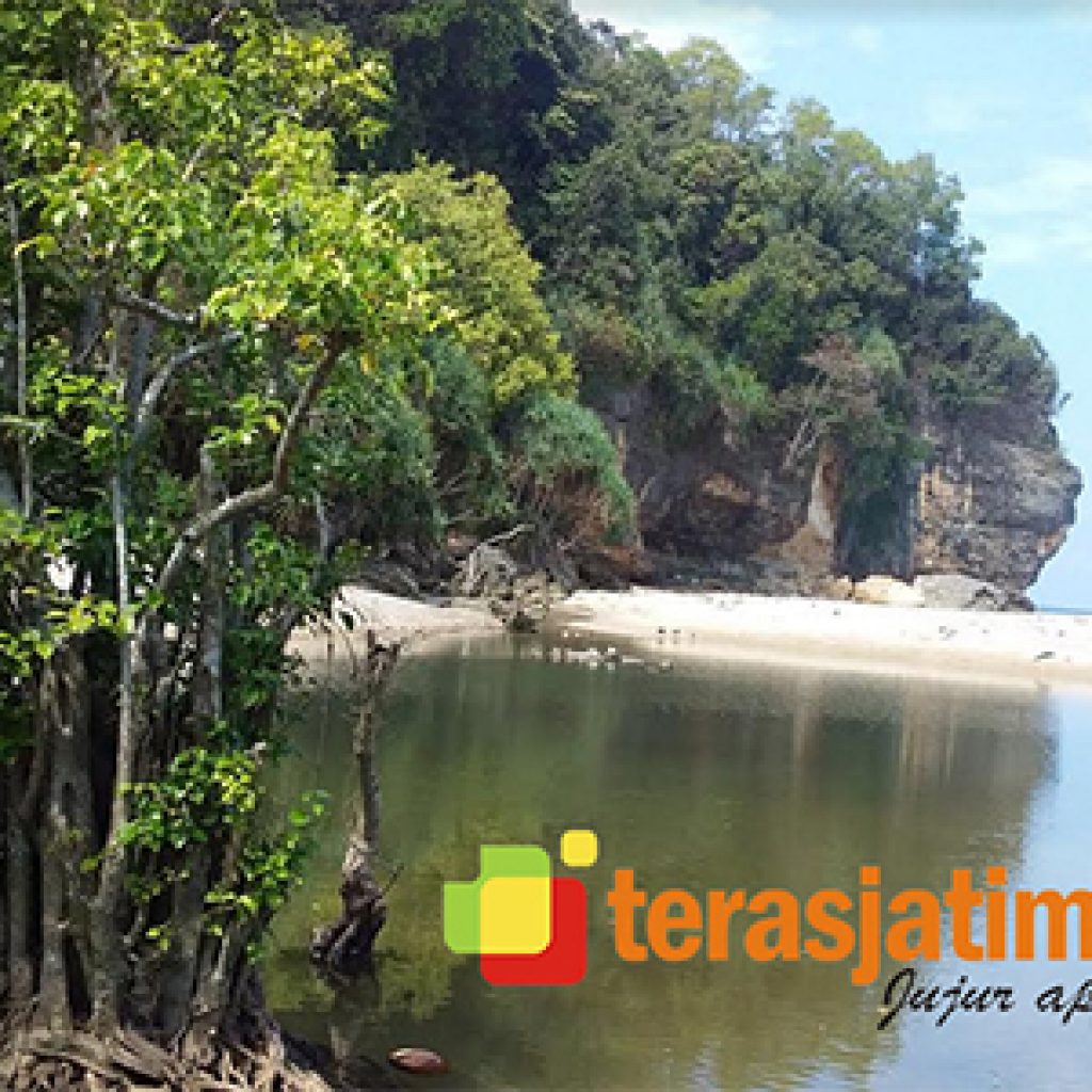 Melepas Penat Di Pantai Kunir Pacitan Yang Tersembunyi