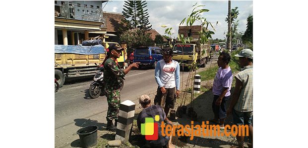 Aksi Gerakan Tanam Pohon di Ruas Jalan Nasional di Wilayah Kediri Aksi Gerakan Tanam Pohon di Ruas Jalan Nasional di Wilayah Kediri