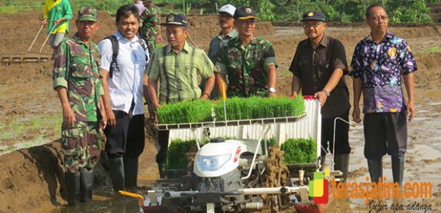 Tanam Padi Serentak Untuk Swasembada Pangan Tanam Padi Serentak Untuk Swasembada Pangan