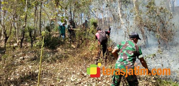3 Hektar Hutan Milik Perhutani di Slahung Ponorogo Terbakar 3 Hektar Hutan Milik Perhutani di Slahung Ponorogo Terbakar
