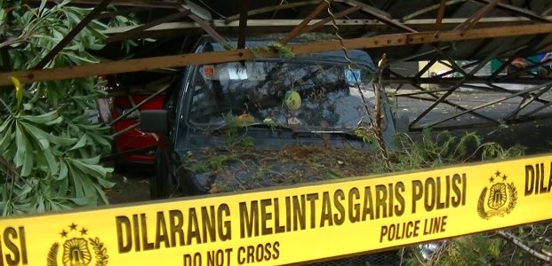 Hujan dan Angin Kencang, Wall Panjat Dinding Menimpah Rumah dan Mobil Hujan dan Angin Kencang, Wall Panjat Dinding Menimpah Rumah dan Mobil
