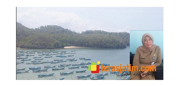Aksi Penangkapan Benur di Pacitan Akan Segera Ditangani Aksi Penangkapan Benur di Pacitan Akan Segera Ditangani