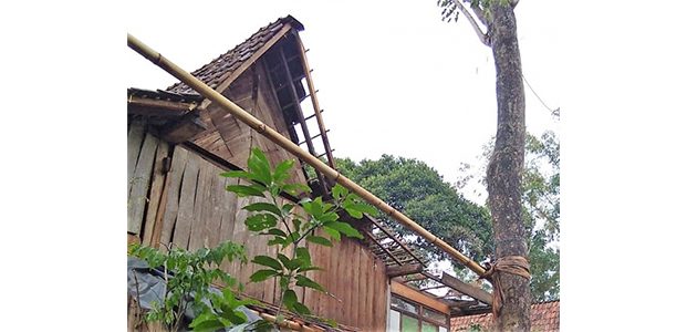 Angin Puting Beliung Terjang 2 Desa di Situbondo, Ratusan Rumah Rusak Angin Puting Beliung Terjang 2 Desa di Situbondo, Ratusan Rumah Rusak