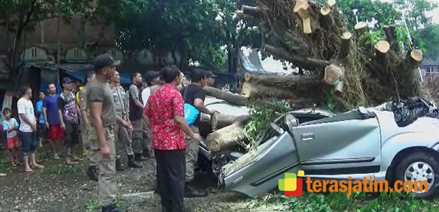 Angin Puting Beliung Terjang Blitar Angin Puting Beliung Terjang Blitar