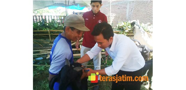 Antisipasi Hewan Kurban Tidak Sehat, Disnak Banyuwangi Gelar Sidak Antisipasi Hewan Kurban Tidak Sehat, Disnak Banyuwangi Gelar Sidak