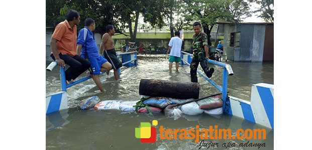 Banjir Kembali Terjang 3 Wilayah Kecamatan di Jombang Banjir Kembali Terjang 3 Wilayah Kecamatan di Jombang