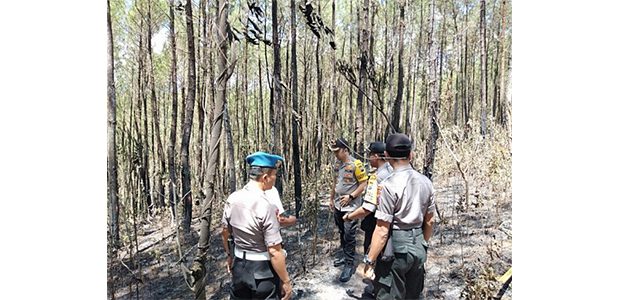 Baru Dilantik, Kapolres Trenggalek Langsung Turun ke Lokasi Kebakaran Hutan Baru Dilantik, Kapolres Trenggalek Langsung Turun ke Lokasi Kebakaran Hutan