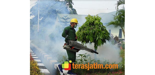 Basmi si Loreng Pembawa Maut di Markas Yonarmed 12/Divif 2 Kostrad Basmi si Loreng Pembawa Maut di Markas Yonarmed 12/Divif 2 Kostrad