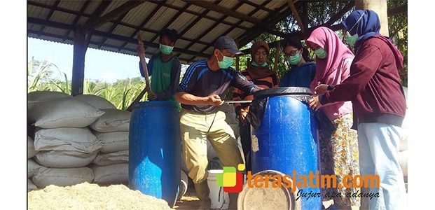 Berguru Mengolah Kardus Jadi Pakan Ternak, Mahasiswa UGM Serbu Desa Tulakan Pacitan Berguru Mengolah Kardus Jadi Pakan Ternak, Mahasiswa UGM Serbu Desa Tulakan Pacitan
