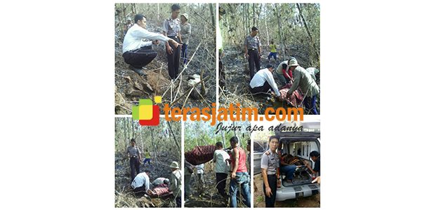 Berniat Bakar Tunggak Tebu, Pria asal Wonotirto Blitar Tewas Terbakar Berniat Bakar Tunggak Tebu, Pria asal Wonotirto Blitar Tewas Terbakar