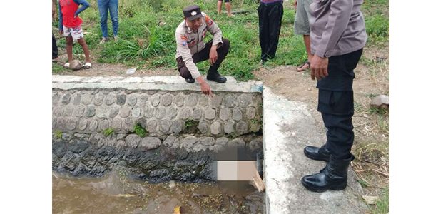 Mayat Bayi Laki-Laki Ditemukan Hanyut di Sungai Derman Wlingi, Polisi Buru Pelakunya Mayat Bayi Laki-Laki Ditemukan Hanyut di Sungai Derman Wlingi, Polisi Buru Pelakunya