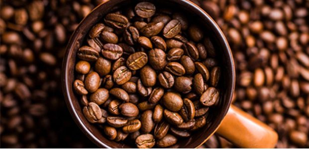 Kopi Robusta Java Banyuwangi Terima Sertifikat Pencatatan Indikasi Geografis (IG) Kopi Robusta Java Banyuwangi Terima Sertifikat Pencatatan Indikasi Geografis (IG)