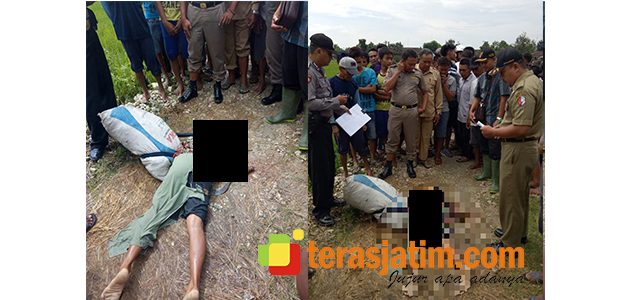 Cari Rumput, Perempuan asal Temayang Bojonegoro Tewas Tersambar Petir Cari Rumput, Perempuan asal Temayang Bojonegoro Tewas Tersambar Petir