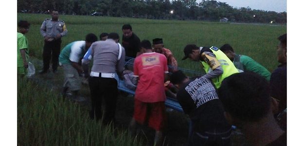 Cari Rumput di Sawah, Petani asal Ngraho Bojonegoro Tewas Tersambar Petir Cari Rumput di Sawah, Petani asal Ngraho Bojonegoro Tewas Tersambar Petir