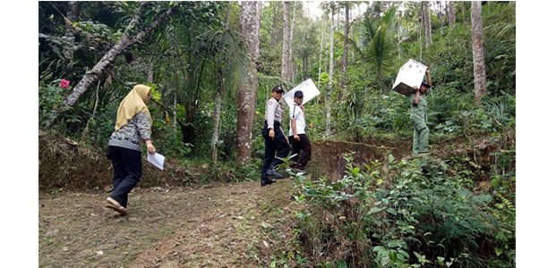 Cerita Pilkada di Trenggalek, Petugas Harus Memanggul Kotak Suara Menuju TPS Cerita Pilkada di Trenggalek, Petugas Harus Memanggul Kotak Suara Menuju TPS