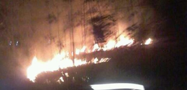 Cuaca Kering, di Bojonegoro Terjadi Kebakaran di Hutan dan Lahan Tebu Cuaca Kering, di Bojonegoro Terjadi Kebakaran di Hutan dan Lahan Tebu