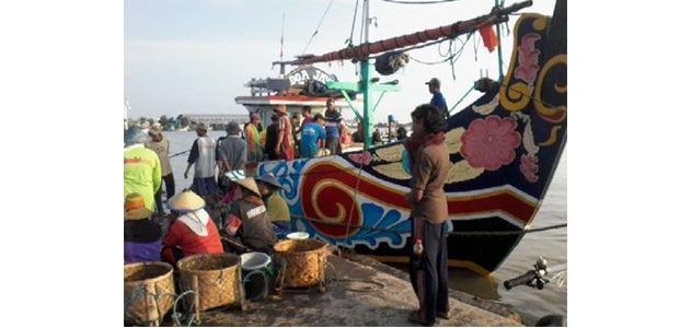 Dalam Seminggu, Pelabuhan Perikanan Nusantara Brondong Hasilkan Ikan Senilai 21 Miliar Dalam Seminggu, Pelabuhan Perikanan Nusantara Brondong Hasilkan Ikan Senilai 21 Miliar