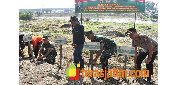 Danrem Bersama Forkopimda Gresik Tanam Vetiver Danrem Bersama Forkopimda Gresik Tanam Vetiver