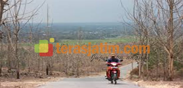 Pinggiran Hutan Bojonegoro, Kering Kerontang Pinggiran Hutan Bojonegoro, Kering Kerontang