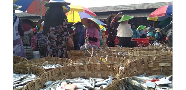 Di Pasar Ikan Lamongan, Harga Bandeng Anjlok Hingga Rp2 ribu Perkilonya Di Pasar Ikan Lamongan, Harga Bandeng Anjlok Hingga Rp2 ribu Perkilonya