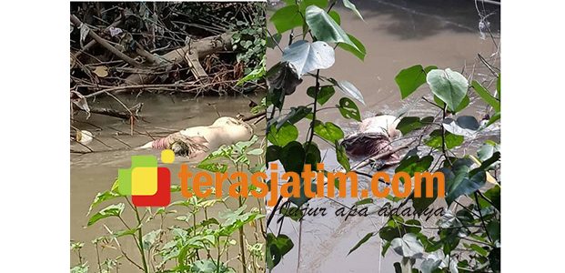 Dilaporkan Hilang, Wanita asal Pandean Sidoarjo Ditemukan Tewas Mengapung di Sungai Dilaporkan Hilang, Wanita asal Pandean Sidoarjo Ditemukan Tewas Mengapung di Sungai