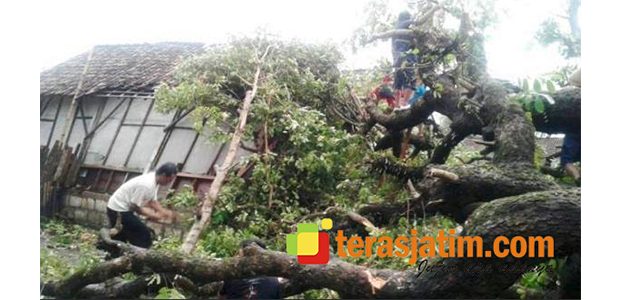 Disapu Angin Kencang, Sejumlah Rumah dan Kandang di Gondang Bojonegoro Rusak Disapu Angin Kencang, Sejumlah Rumah dan Kandang di Gondang Bojonegoro Rusak