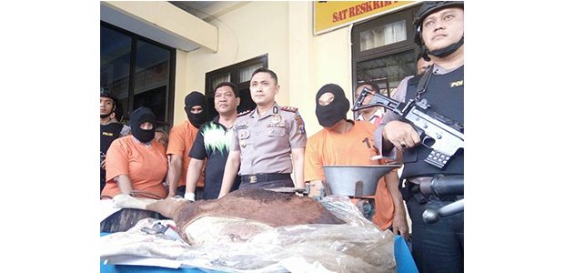Dua Alap-Alap Maling Sapi Antar Kabupaten, Didor Polisi di Mojokerto Dua Alap-Alap Maling Sapi Antar Kabupaten, Didor Polisi di Mojokerto