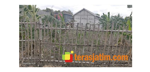 Dugaan Jual Beli Urugan dari Tanah Bengkok, Ini Penjelasan Kades Karanglangit Lamongan Dugaan Jual Beli Urugan dari Tanah Bengkok, Ini Penjelasan Kades Karanglangit Lamongan