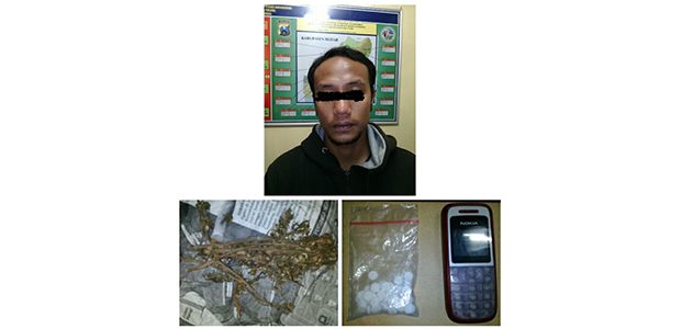 Edarkan Ganja, Warga Wlingi Blitar Dicokok Polisi Edarkan Ganja, Warga Wlingi Blitar Dicokok Polisi