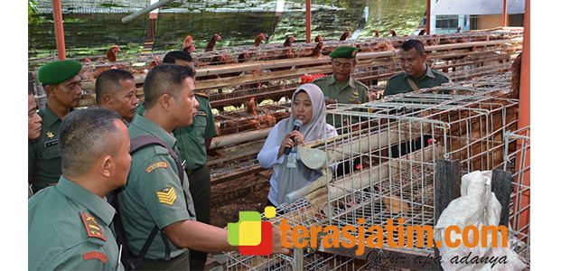Gandeng Dinas Pertanian, Korem Bhaskara Jaya Siap Perkuat Ketahanan Pangan Gandeng Dinas Pertanian, Korem Bhaskara Jaya Siap Perkuat Ketahanan Pangan