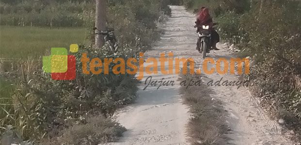 Buntu Komunikasi, Jalan Desa Dibiarkan Rusak Buntu Komunikasi, Jalan Desa Dibiarkan Rusak