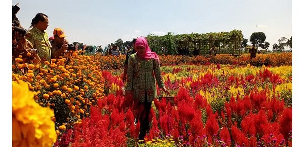 Gubernur Resmikan Dewi Cemara Kemang di Kediri Gubernur Resmikan Dewi Cemara Kemang di Kediri