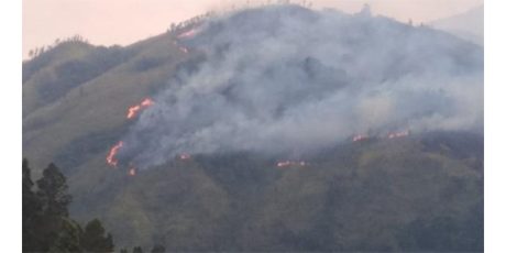 Gunung Arjuna Terbakar, 12 Pendaki Asal Mojokerto Dalam Pencarian