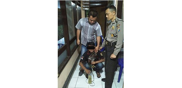 Hanya Untuk Tambul Mabuk, Pria ini Nekat Curi Ayam Jago Hanya Untuk Tambul Mabuk, Pria ini Nekat Curi Ayam Jago