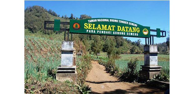 Hari Ini, Jalur Pendakian Gunung Semeru Kembali Dibuka Hari Ini, Jalur Pendakian Gunung Semeru Kembali Dibuka