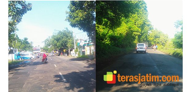 Hati-Hati, Jalur Pantura di Situbondo Banyak Berlubang Hati-Hati, Jalur Pantura di Situbondo Banyak Berlubang
