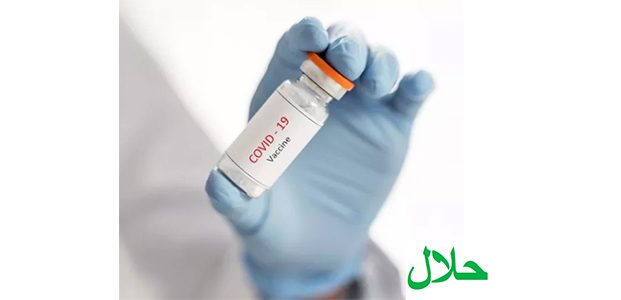 MUI: Vaksin Covid-19 Produksi Sinovac, Halal dan Suci MUI: Vaksin Covid-19 Produksi Sinovac, Halal dan Suci