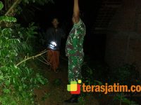Hujan Deras, Tebing Longsor Menimpa Rumah Warga di Bedoho Ponorogo