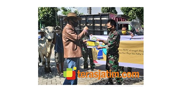 Idul Adha 1441 H, PEPC Serahkan Puluhan Hewan Kurban ke Warga Bojonegoro Idul Adha 1441 H, PEPC Serahkan Puluhan Hewan Kurban ke Warga Bojonegoro