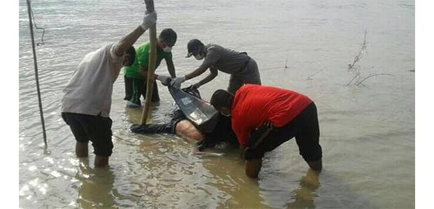 Jasad Pria Yang Lompat dari Jembatan Glendeng Tuban Ditemukan di Kanor Jasad Pria Yang Lompat dari Jembatan Glendeng Tuban Ditemukan di Kanor
