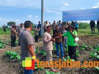 Rombongan Petani dari Kabupaten Aceh Besar, Belajar Pengembangan Tembakau di Jombang