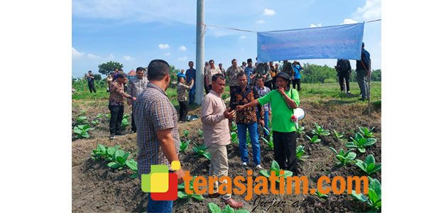 Rombongan Petani dari Kabupaten Aceh Besar, Belajar Pengembangan Tembakau di Jombang Rombongan Petani dari Kabupaten Aceh Besar, Belajar Pengembangan Tembakau di Jombang