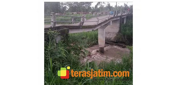 Ada Pohon Nyangkut, Jembatan Penghubung di Desa Brodot Jombang Nyaris Ambruk Ada Pohon Nyangkut, Jembatan Penghubung di Desa Brodot Jombang Nyaris Ambruk