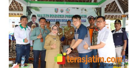 Hari Desa Asri Nusantara di Jombang, 30 Ribu Bibit Pohon Ditanam