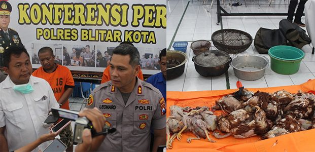 Jual Daging Ayam Tiren, 2 Pria asal Sukorejo Blitar Dibekuk Jual Daging Ayam Tiren, 2 Pria asal Sukorejo Blitar Dibekuk