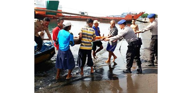 Kaget Ada Kapal Melintas, Seorang Pemancing di Banyuwangi ‘Nyemplung’ ke Laut Kaget Ada Kapal Melintas, Seorang Pemancing di Banyuwangi ‘Nyemplung’ ke Laut